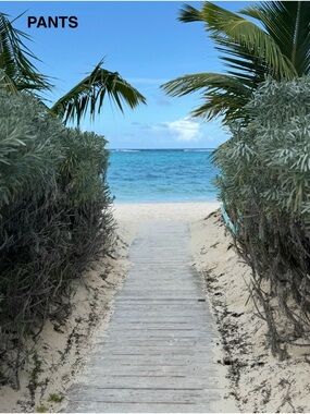 Pants